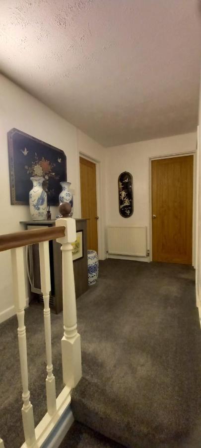Bed and Breakfast Grosvenor House - Onsite Free Parking Ilfracombe Exterior foto